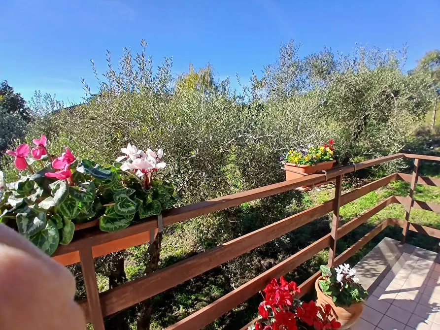 Immagine 45 di Trilocale in vendita  in Via Vittorio Alfieri 10 a Morlupo