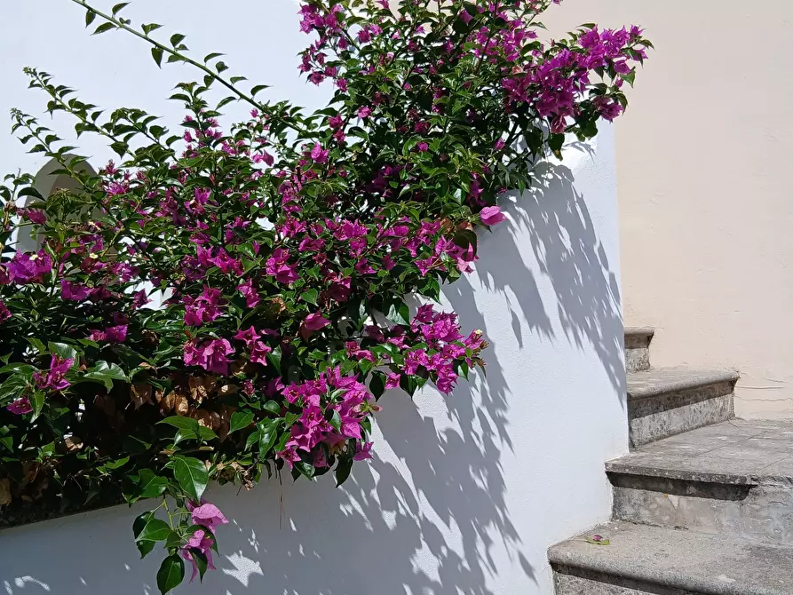 Immagine 48 di Rustico / casale in vendita  in Via Campagnanese 874 a Morlupo