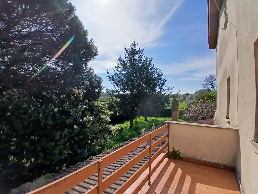 Immagine 9 di Casa bifamiliare in vendita  in Strada Valle di Baccano 3 a Campagnano Di Roma