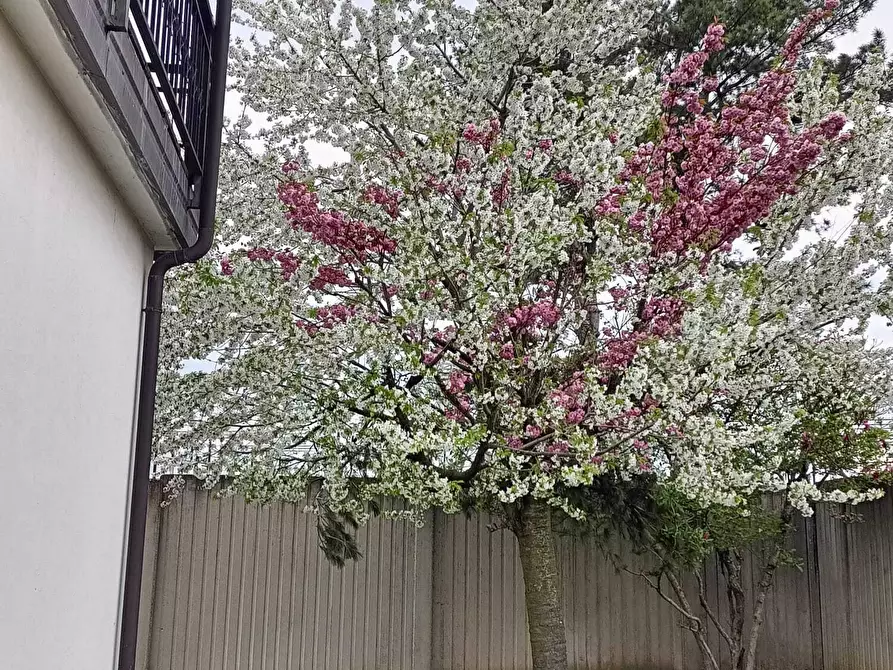 Immagine 75 di Casa bifamiliare in vendita  in Via Lombardore 243 a Ciriè