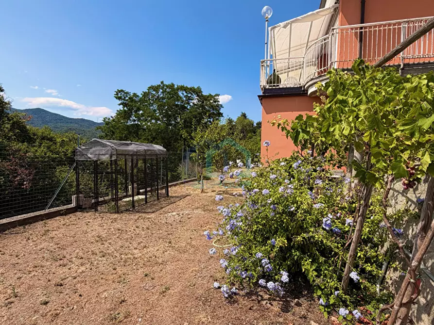 Immagine 22 di Casa bifamiliare in vendita  in Frazione San Giovanni Località Rocca 4 a Stella