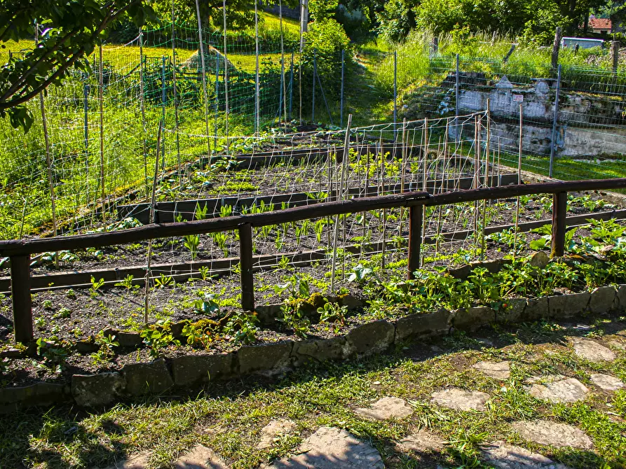 Immagine 62 di Terratetto in vendita  in Villa Brigati 16 a Tornolo