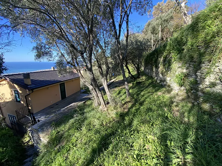 Immagine 35 di Casa indipendente in vendita  a Cogorno