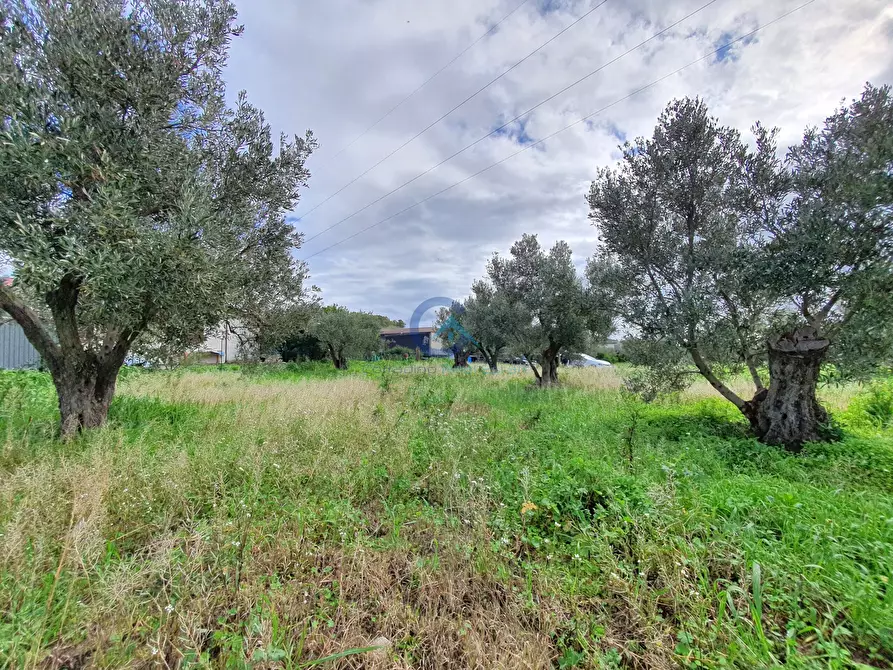 Immagine 10 di Terreno edificabile in vendita  in Via Fiume Neto 9 a Catanzaro