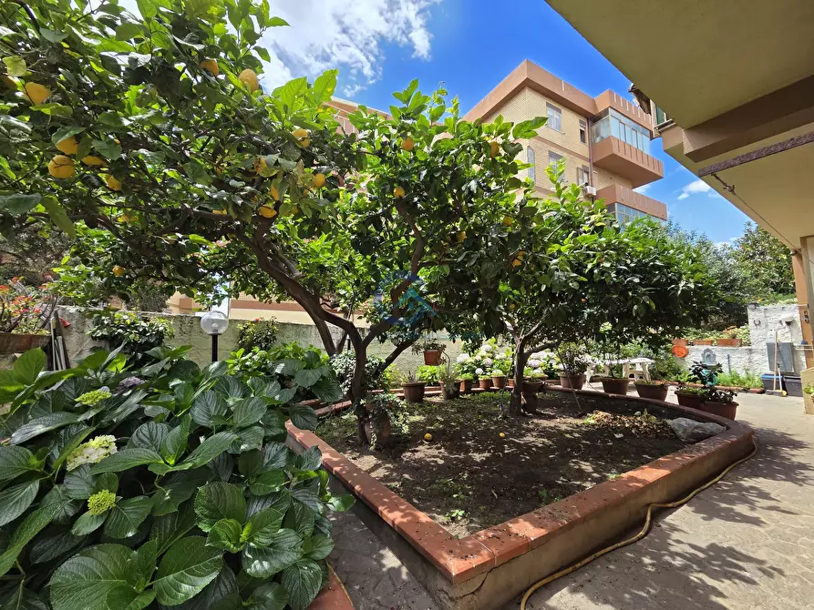 Immagine 15 di Quadrilocale in affitto  a Catanzaro