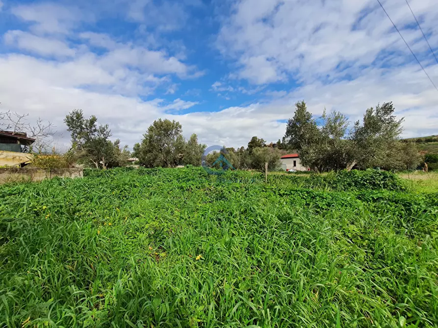Immagine 7 di Terreno edificabile in vendita  in Via Fiume Neto 9 a Catanzaro