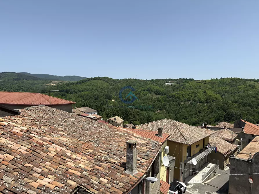 Immagine 8 di Terratetto in vendita  in Via Partenope 17 a Carlopoli