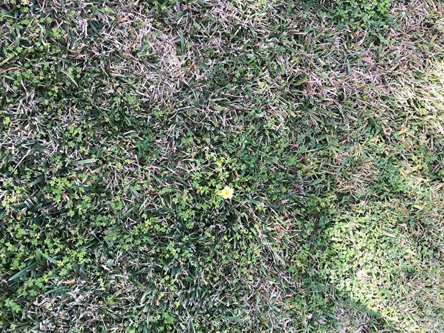 Immagine 76 di Casa indipendente in vendita  in VIA ISOLE DELLA  CALEDONIA a Siracusa