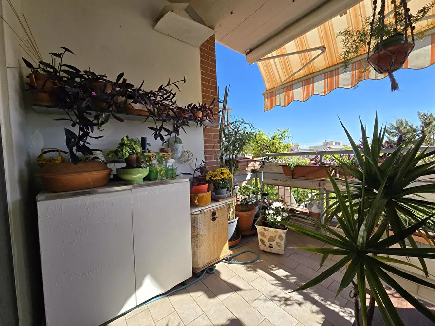 Immagine 30 di Trilocale in vendita  in VIA ROSARIO LIVATINO 3 a Nettuno