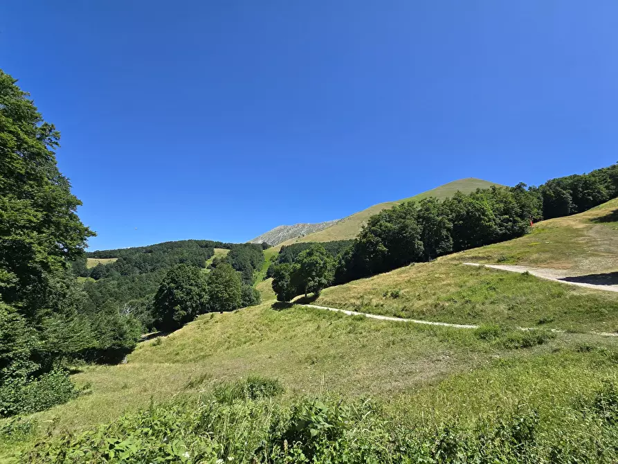 Immagine 40 di Bilocale in vendita  in Via dei Cerri 19 a Rieti