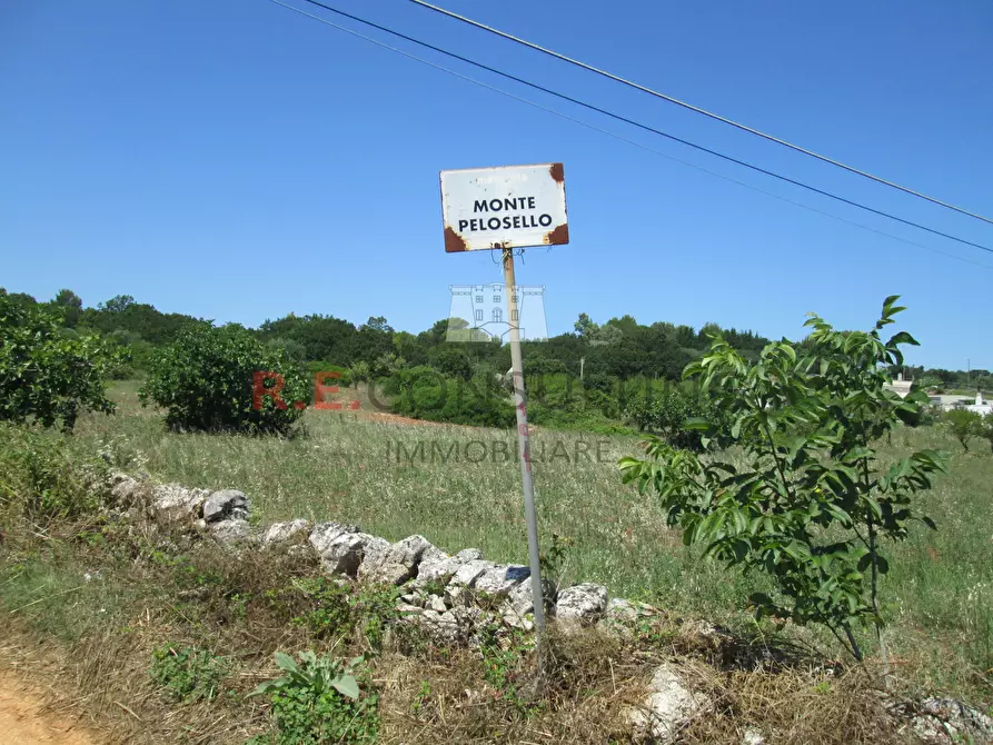 Immagine 5 di Rustico / casale in vendita  in Unnamed Road a Martina Franca