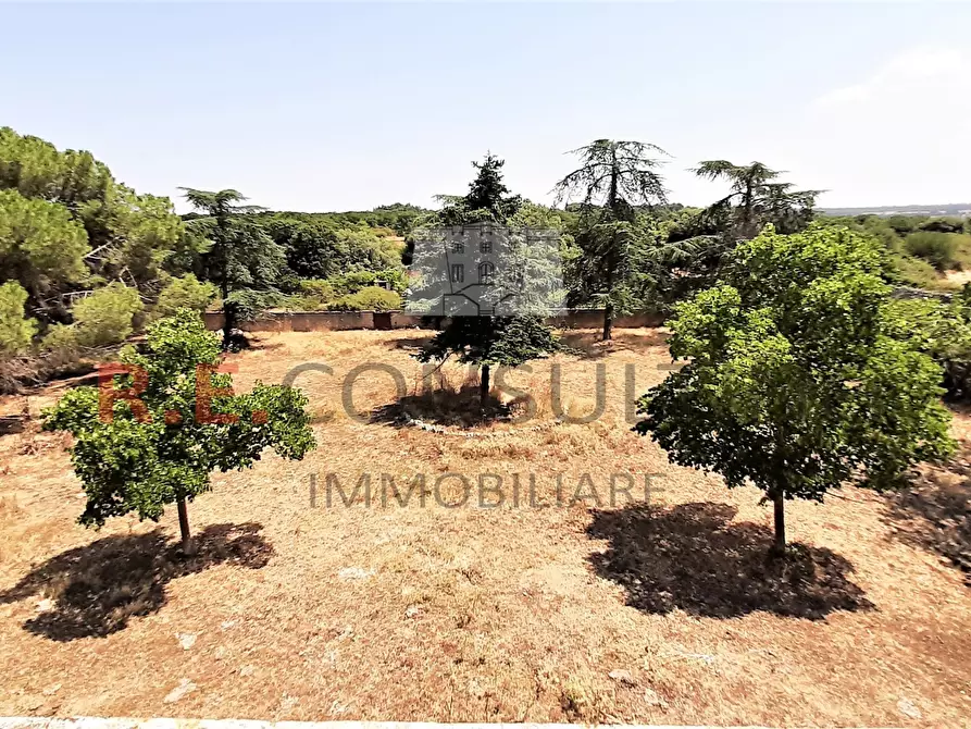 Immagine 14 di Rustico / casale in vendita  in Masseria Corallo snc a Martina Franca