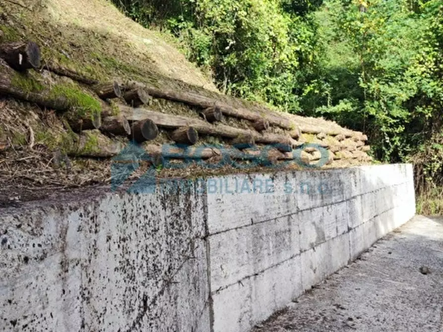 Immagine 25 di Rustico / casale in vendita  in Salita Castello a Beverino