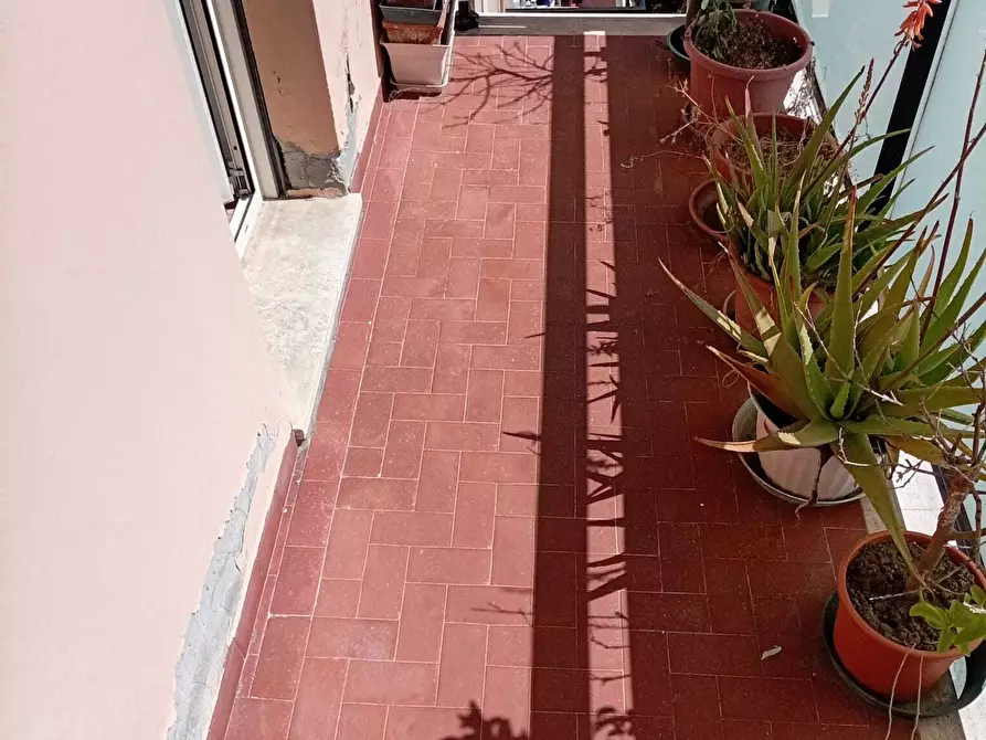 Immagine 5 di Pentalocale in affitto  a Pescara