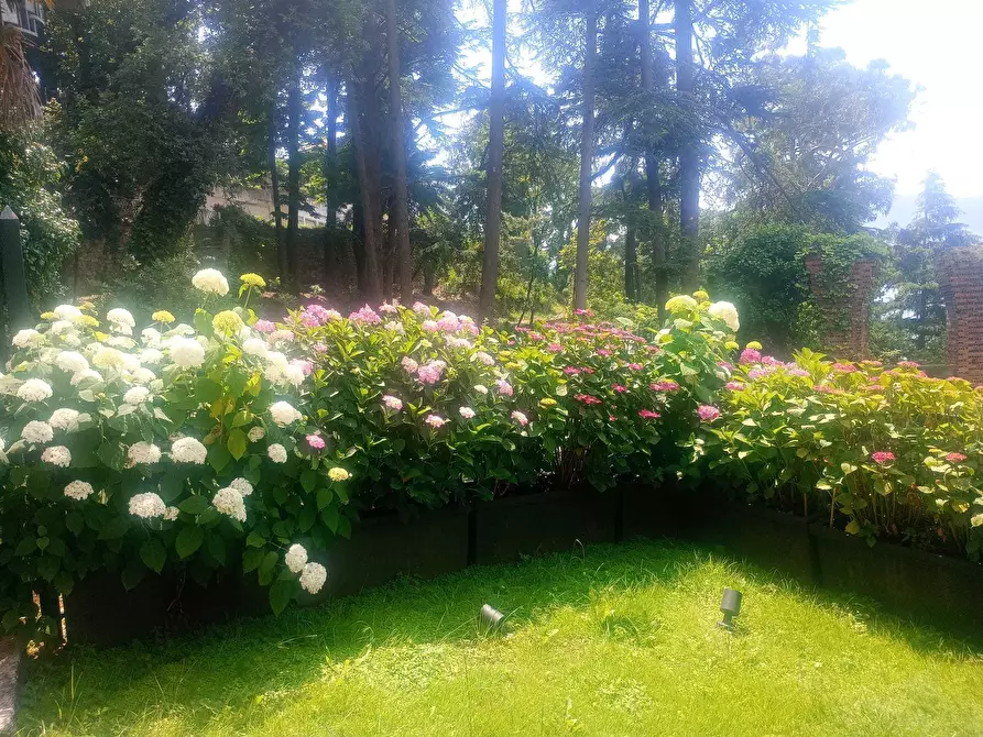 Immagine 21 di Trilocale in vendita  a Zoagli