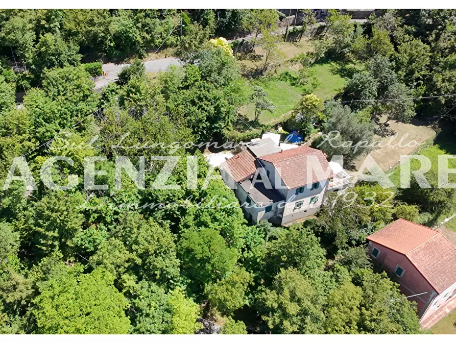 Immagine 4 di Casa trifamiliare in vendita  a Rapallo