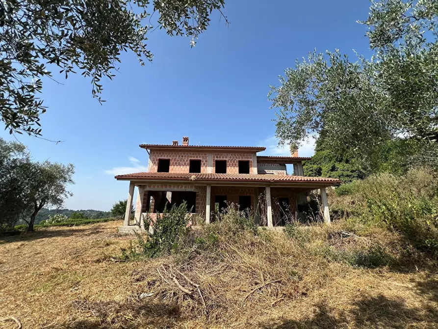 Immagine 4 di Villa in vendita  a Civitella San Paolo