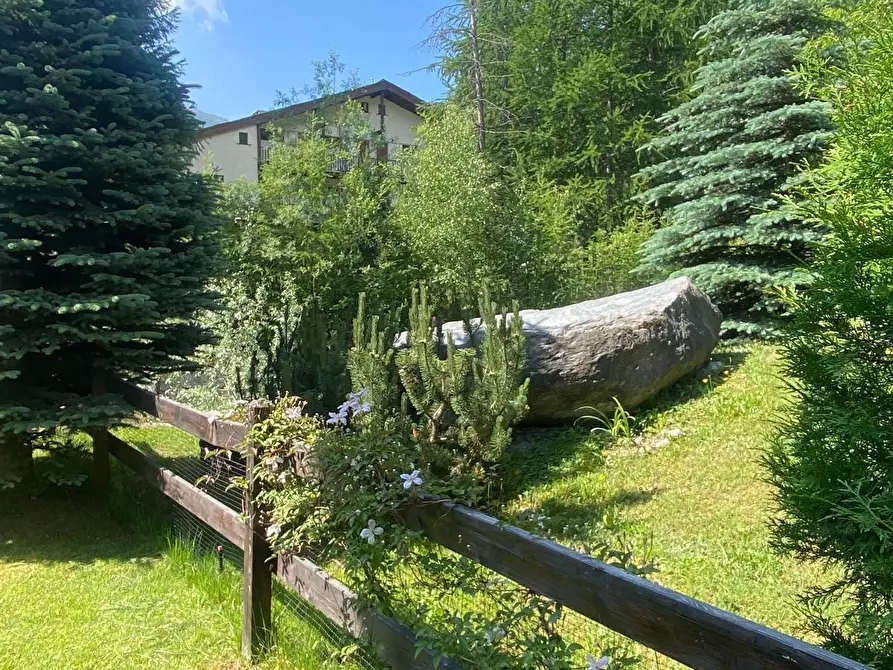 Immagine 16 di Bilocale in vendita  in Via Rohrbach 34 a Pragelato