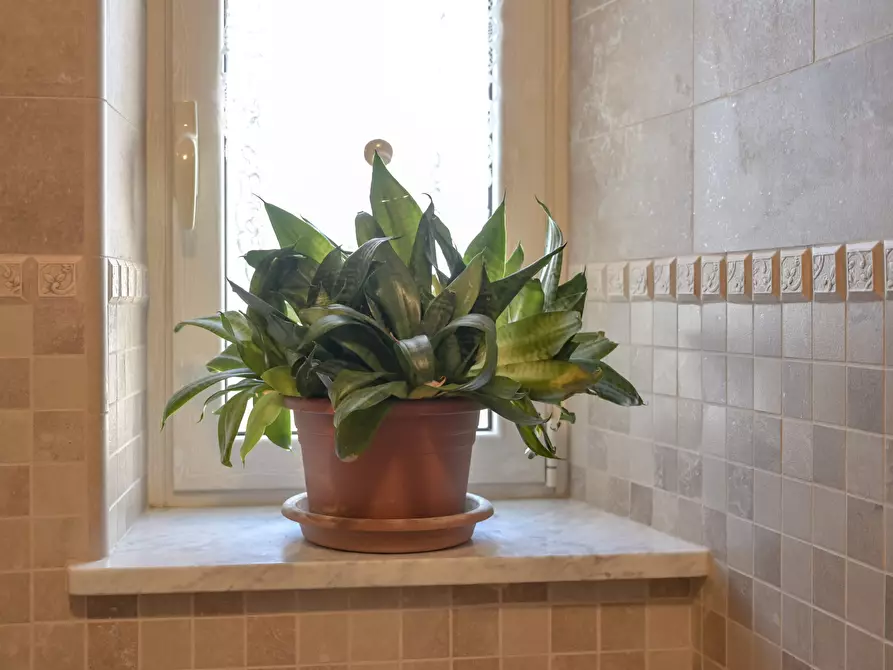 Immagine 62 di Quadrilocale in vendita  in via trecate 15 a Torino