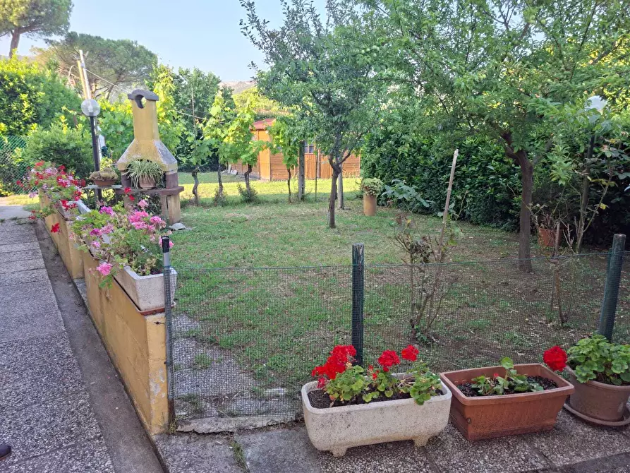 Immagine 1 di Terratetto in vendita  a San Giuliano Terme