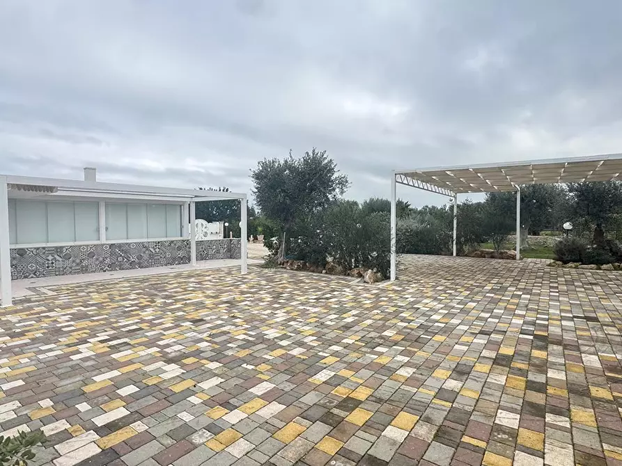 Immagine 3 di Casa indipendente in vendita  in contrada materdomini a Monopoli