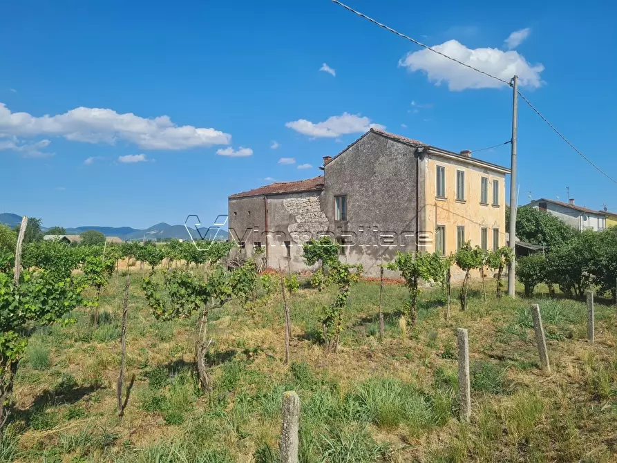 Immagine 8 di Rustico / casale in vendita  in via caselle 43 a Noventa Vicentina