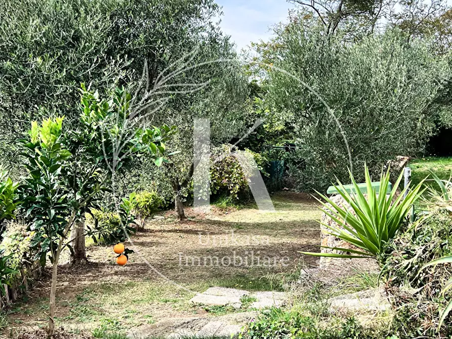 Immagine 14 di Casa indipendente in vendita  in Via Ciantagalletto a Savona