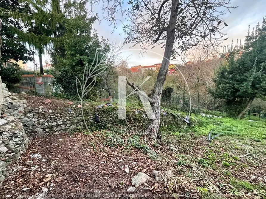 Immagine 15 di Rustico / casale in vendita  in Via Dorino Boristene 18 a Stella