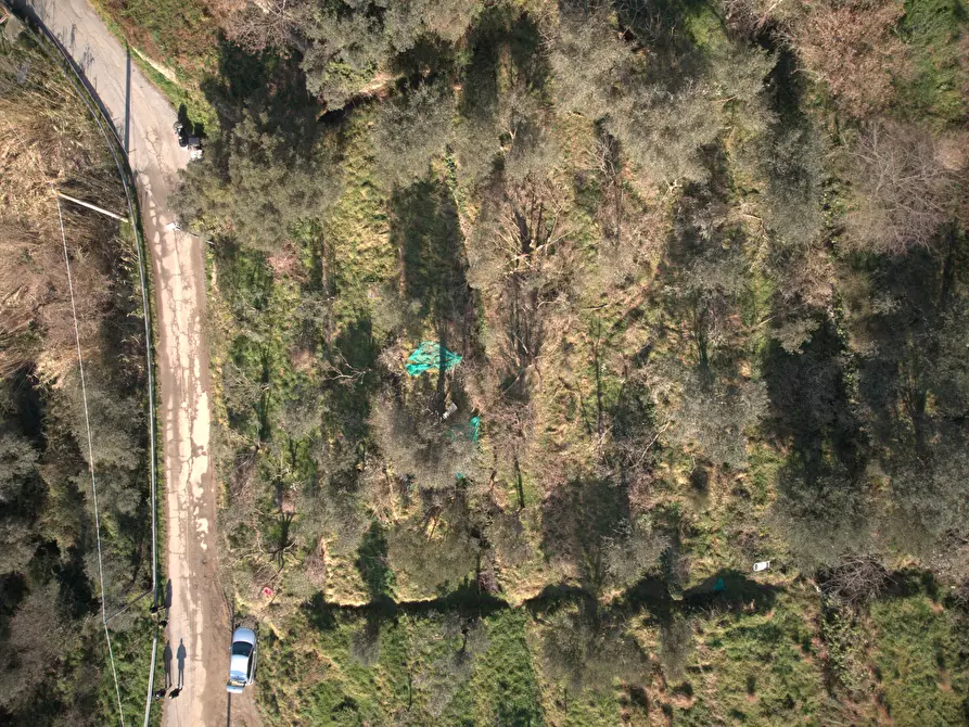 Immagine 2 di Terreno agricolo in vendita  in Via Marmorassi 75 a Savona