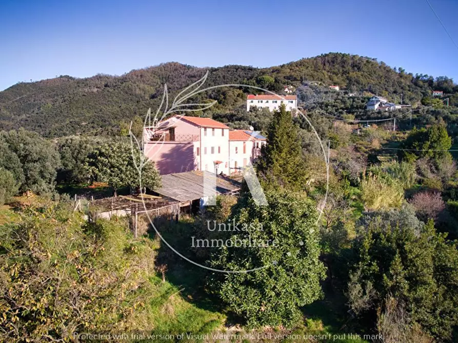 Immagine 10 di Terratetto in vendita  in San Nazario a Savona