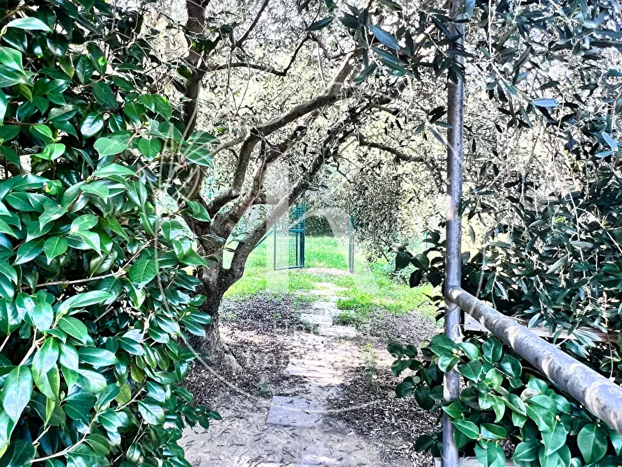 Immagine 23 di Villa in vendita  in Via per Calice a Finale Ligure