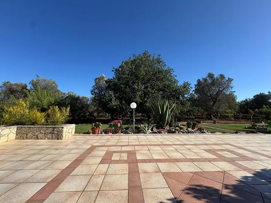 Immagine 9 di Villa in vendita  in Strada Provinciale 29 a Ceglie Messapico