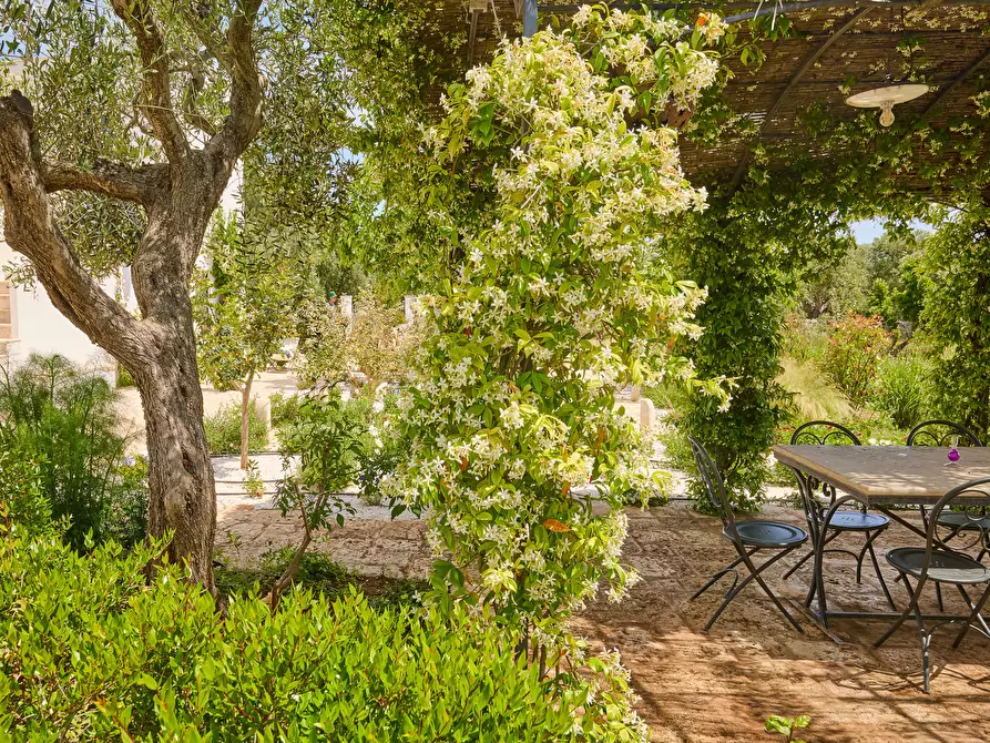 Immagine 62 di Casa indipendente in vendita  in contrada sessana snc a Ostuni