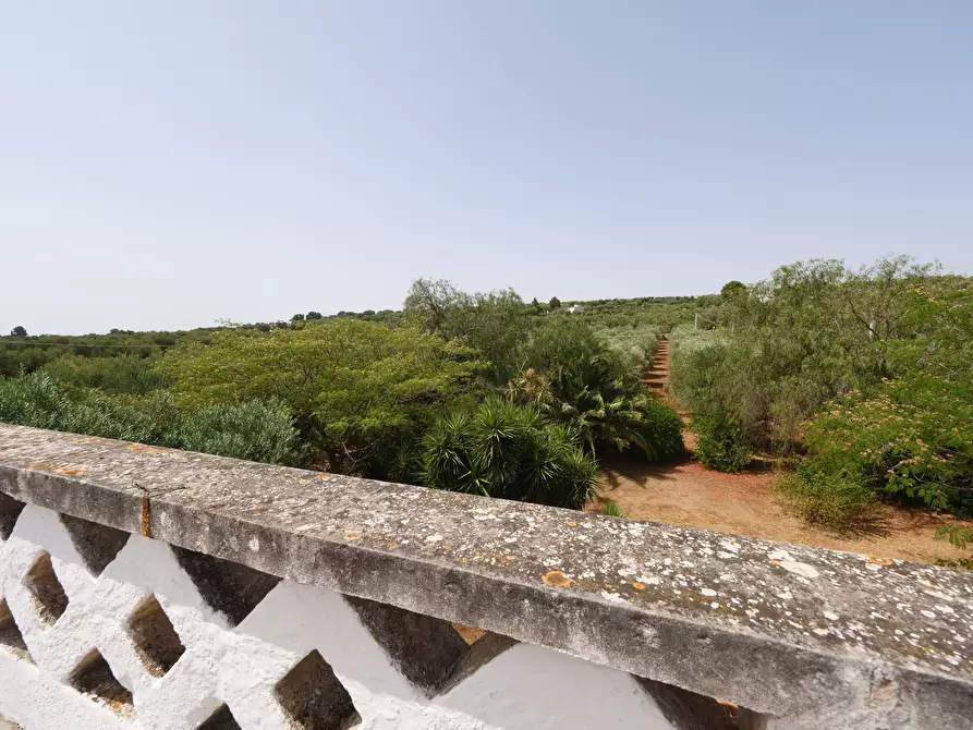 Immagine 23 di Rustico / casale in vendita  in Via Papa Giovanni XXIII a Ostuni