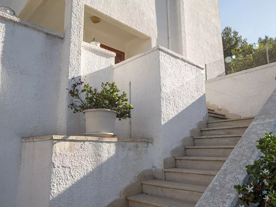 Immagine 3 di Villa in vendita  in Corso Giuseppe Mazzini a Ostuni