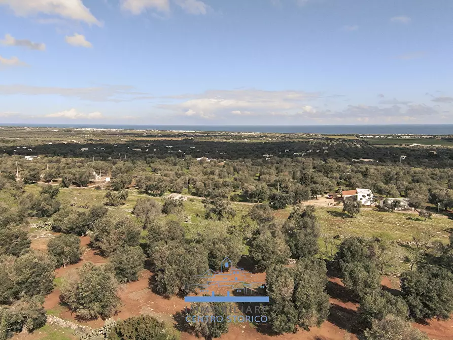 Immagine 4 di Terreno edificabile in vendita  in contrada sierri a Carovigno