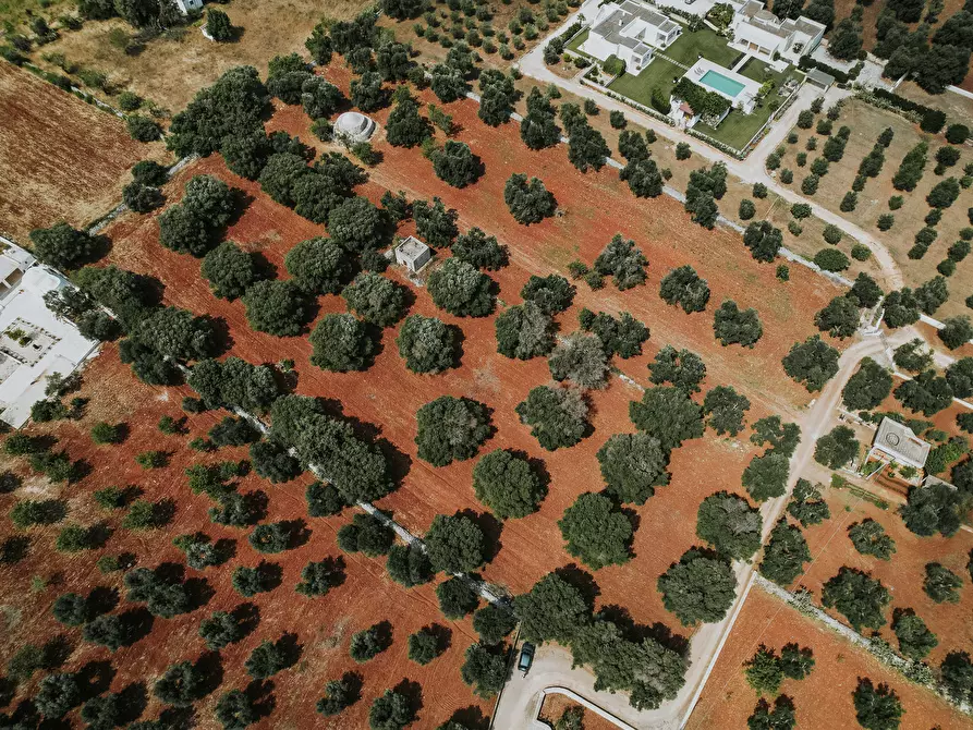 Immagine 10 di Rustico / casale in vendita  in contrada fatima a Carovigno