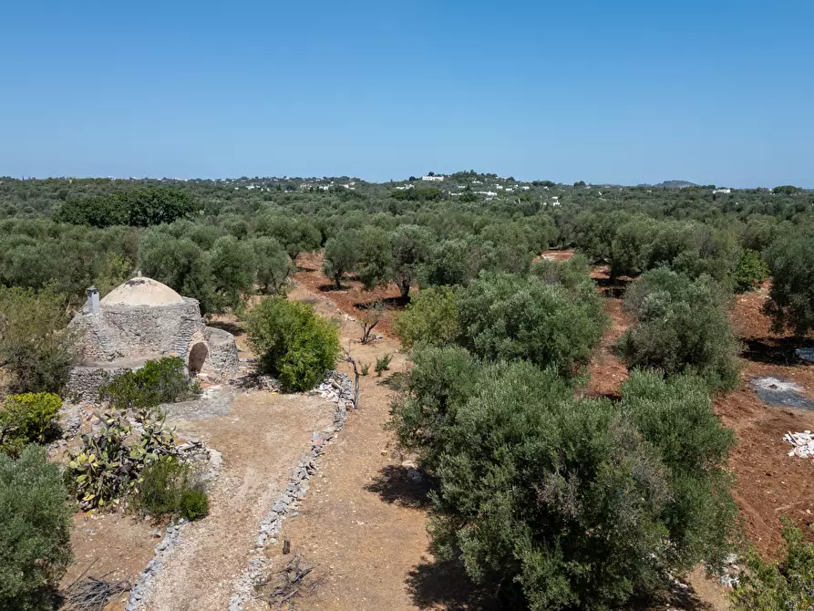 Immagine 2 di Casa indipendente in vendita  in Strada Provinciale 29 a Ostuni