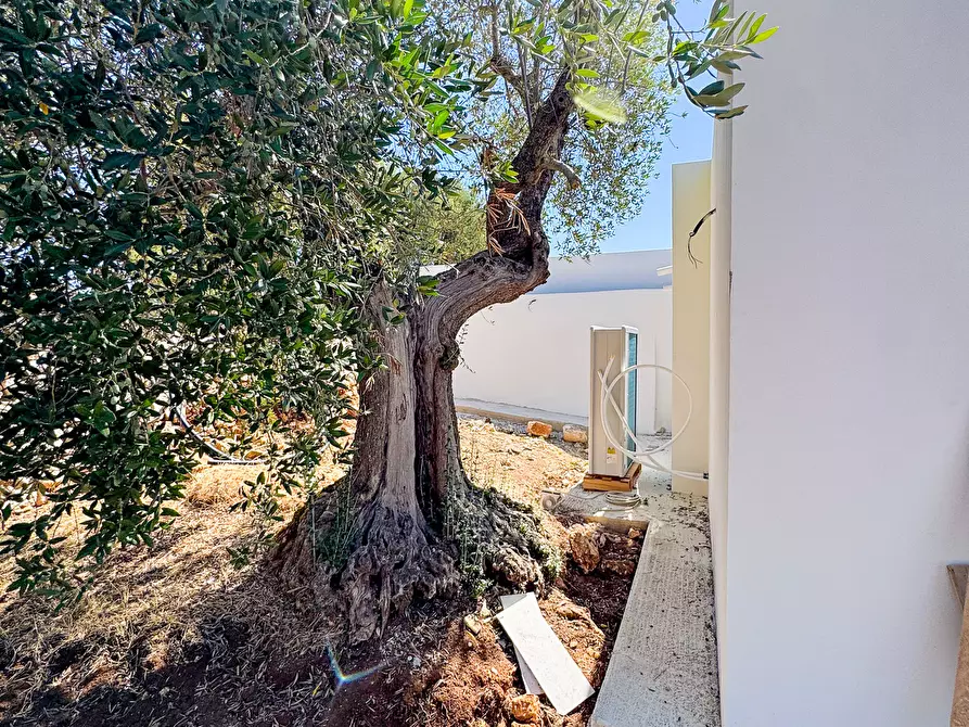 Immagine 23 di Casa indipendente in vendita  in Contrada Rosaraontrada zingariello snc a Ostuni