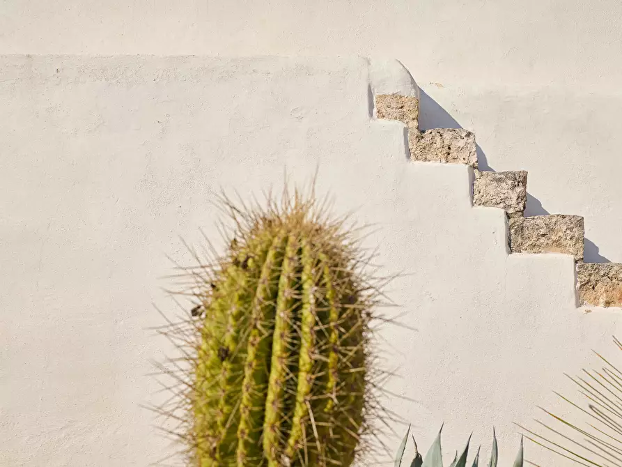 Immagine 72 di Casa indipendente in vendita  in contrada sessana snc a Ostuni