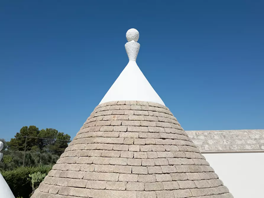 Immagine 27 di Villa in vendita  in contrada augelluzzi a San Michele Salentino