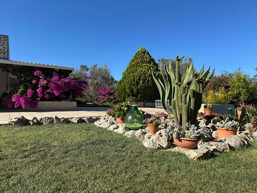 Immagine 7 di Villa in vendita  in Strada Provinciale 29 a Ceglie Messapico