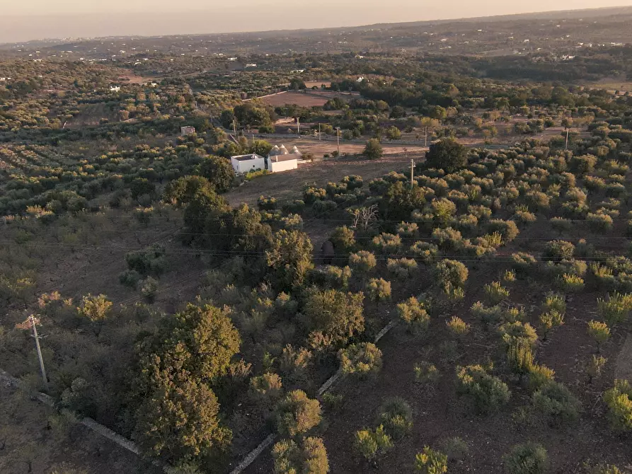 Immagine 6 di Terreno edificabile in vendita  in Contrada Difesa San Salvatore 8 a Ostuni