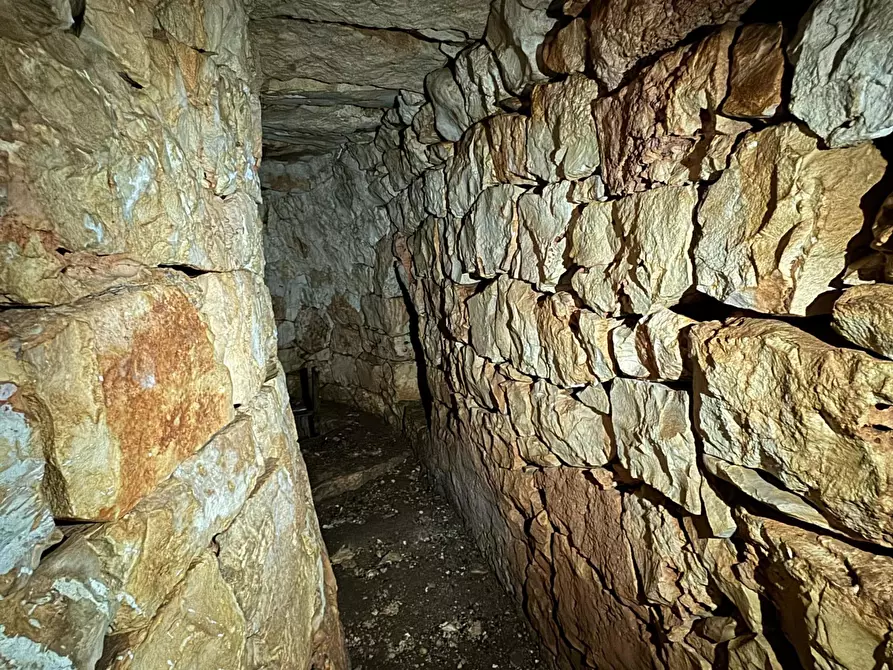 Immagine 16 di Casa indipendente in vendita  in Contrada San Giovanni a Ostuni