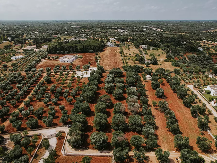 Immagine 14 di Rustico / casale in vendita  in contrada fatima a Carovigno