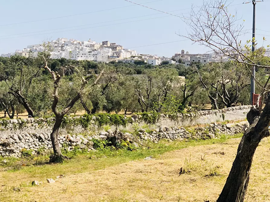 Immagine 7 di Casa indipendente in vendita  in Contrada Malandrino a Ostuni