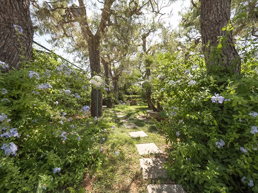 Immagine 12 di Villa in vendita  in Via del Procaccia 19 a Ostuni