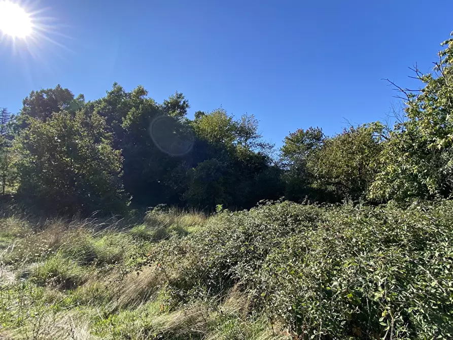 Immagine 9 di Casa indipendente in vendita  in Località Chiapuzzo 8 a Sassello