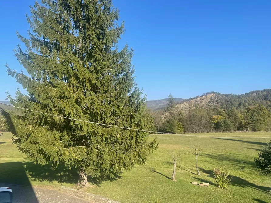 Immagine 57 di Villa in vendita  a Pareto