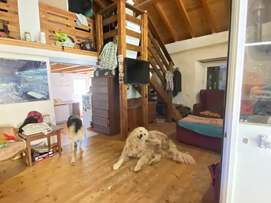 Immagine 21 di Rustico / casale in vendita  in Località Bonuzzo 22 a Sassello